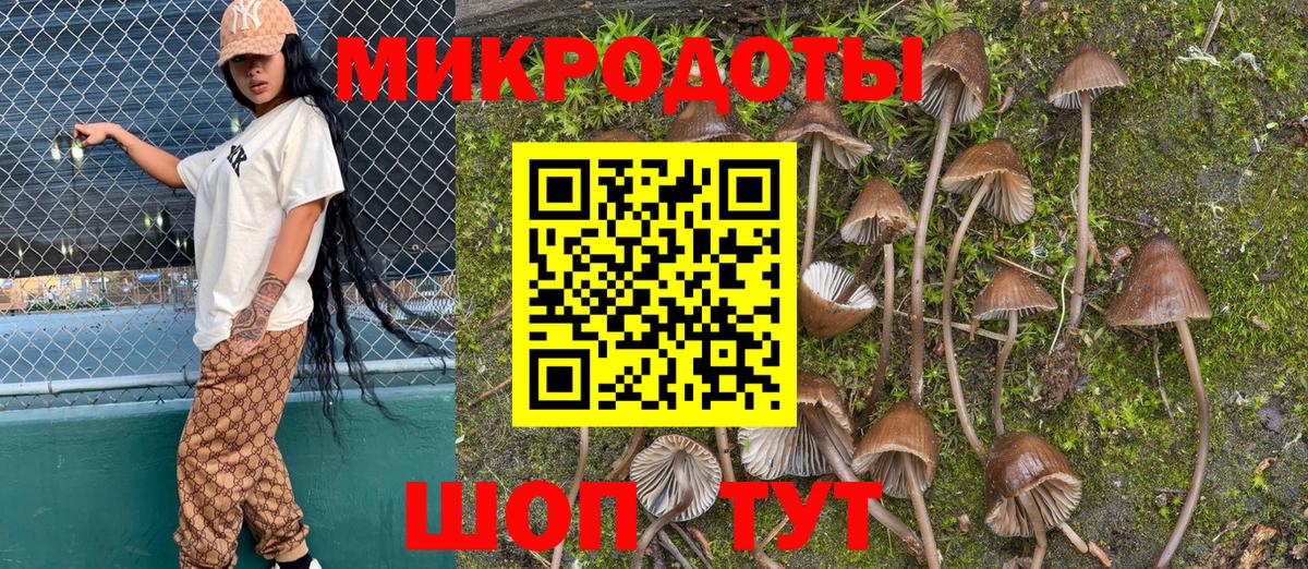 Галлюциногенные грибы Cubensis  Вход с VPN  Отрадное 